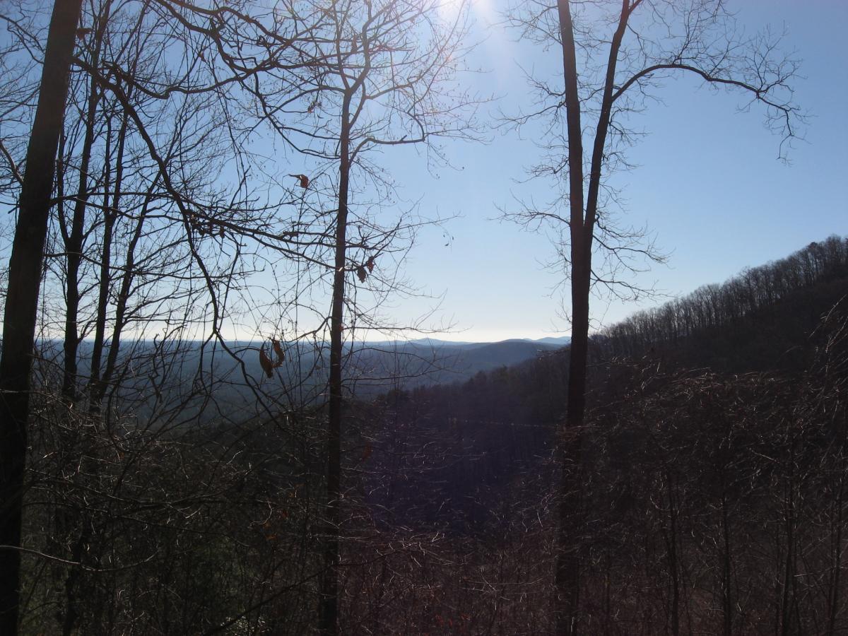 Sunlit landscape view from a hillside, featuring bare trees in the foreground and rolling mountains in the background beneath a clear blue sky. Winding Stairs Loop mountain bike trail.