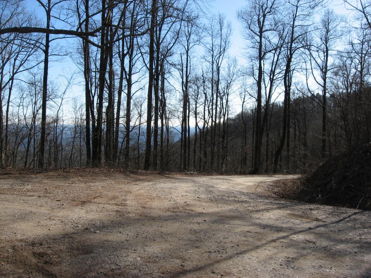 A winding dirt road surrounded by bare trees, leading into a mountainous landscape under a clear blue sky. The scene captures the tranquility of nature, with shadows cast on the ground and a gentle curve in the path. Winding Stairs Loop mountain bike trail.
