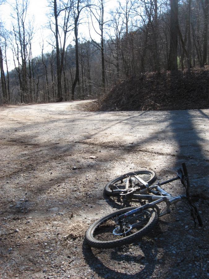 A fallen mountain bike lies on a gravel path surrounded by bare trees in a wooded area. Sunlight filters through the branches, casting shadows on the ground, while a winding trail is visible in the background. Winding Stairs Loop mountain bike trail.