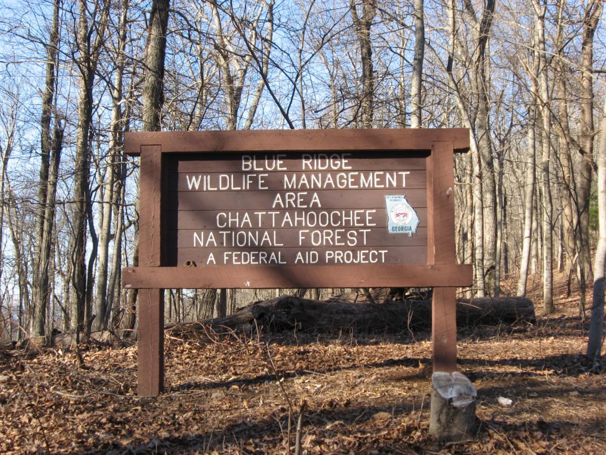 Wooden sign marking the entrance to the Blue Ridge Wildlife Management Area in the Chattahoochee National Forest, with surrounding bare trees and forest floor. The sign includes the text "BLUE RIDGE WILDLIFE MANAGEMENT AREA, CHATTAHOOCHEE NATIONAL FOREST, A FEDERAL AID PROJECT." Winding Stairs Loop mountain bike trail.