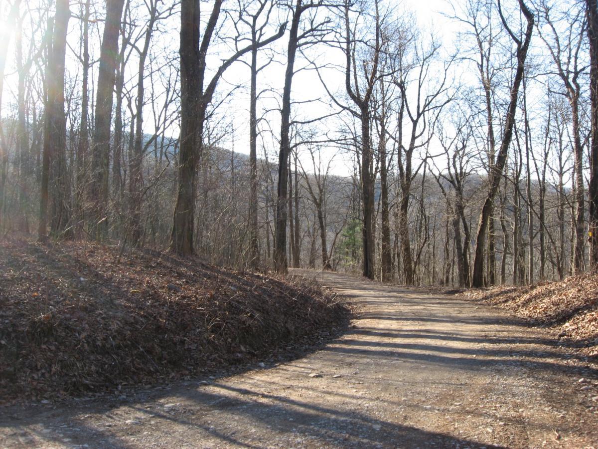 A winding dirt path through a wooded area, lined with bare trees and scattered autumn leaves. Soft sunlight filters through the branches, illuminating the landscape and creating a serene atmosphere. The path curves to the right, leading further into the tranquil forest. Winding Stairs Loop mountain bike trail.