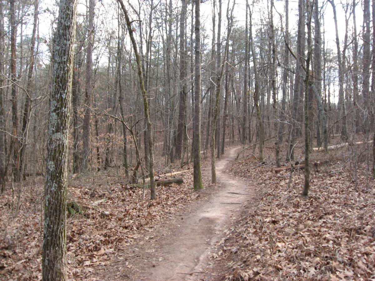 A narrow, winding dirt path meanders through a dense, leaf-strewn forest. Tall, bare trees rise on both sides, their branches slightly bare, indicating a late fall or winter setting. The ground is covered in a mix of brown leaves and exposed soil, creating a natural, tranquil atmosphere. Gainesville College mountain bike trail.