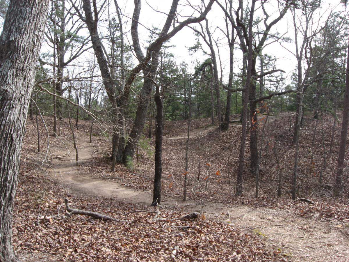 A winding dirt path through a wooded area, lined with bare trees and scattered leaves on the ground. The scene captures a peaceful, natural landscape with a slight incline and meandering trails leading into the distance. Chicopee Woods mountain bike trail.