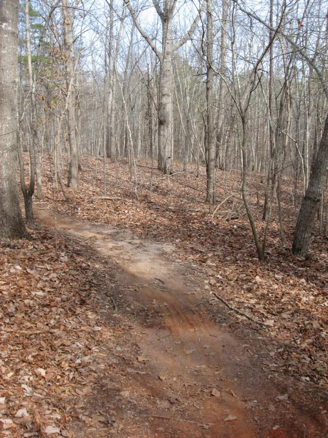 A dirt path winding through a wooded area with bare trees and a carpet of fallen leaves, indicating early spring or late autumn. Chicopee Woods mountain bike trail.