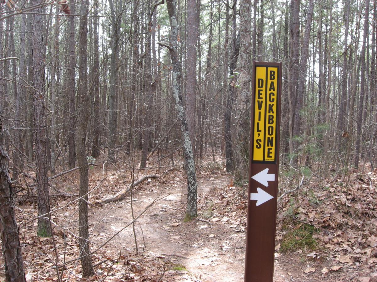 Sign for Devil's Backbone Trail in a wooded area, with paths leading in both directions. The surroundings feature tall trees and fallen leaves on the ground. Chicopee Woods mountain bike trail.