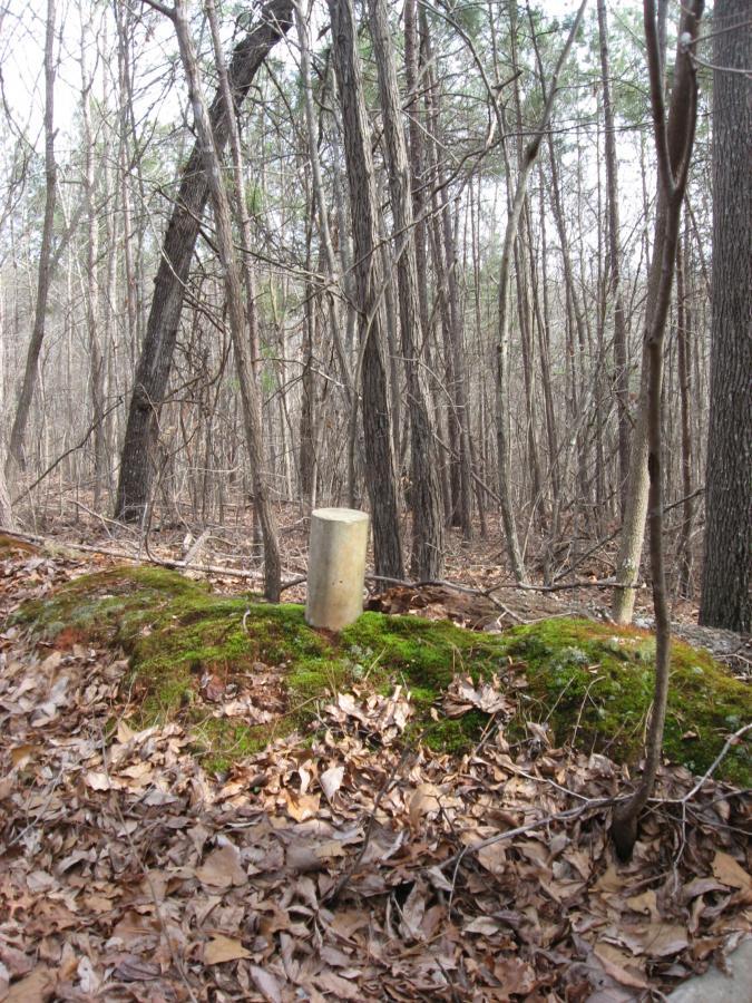 A wooden post surrounded by moss and fallen leaves, set against a backdrop of bare trees in a wooded area during early spring. Chicopee Woods mountain bike trail.