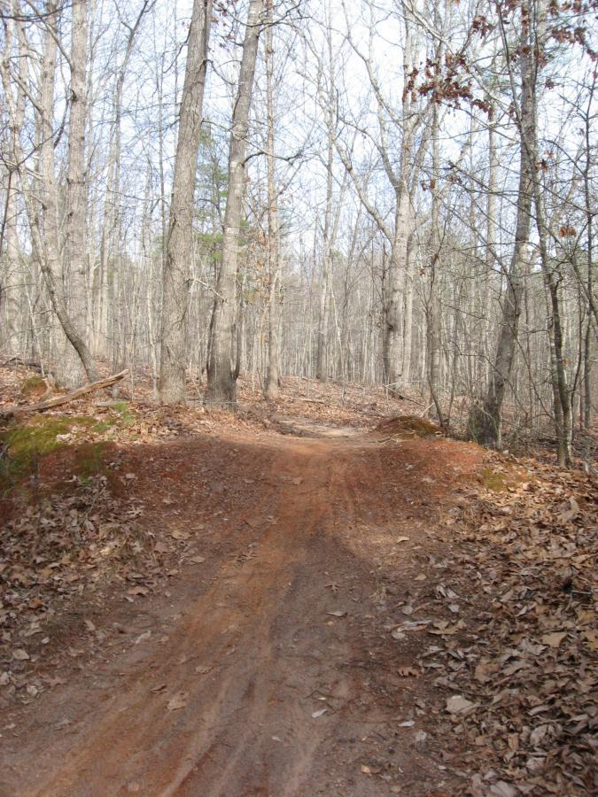 A dirt path winding through a wooded area with bare trees and scattered brown leaves on the ground, under a clear sky. The trail is bordered by patches of greenery and leads into the distance. Chicopee Woods mountain bike trail.