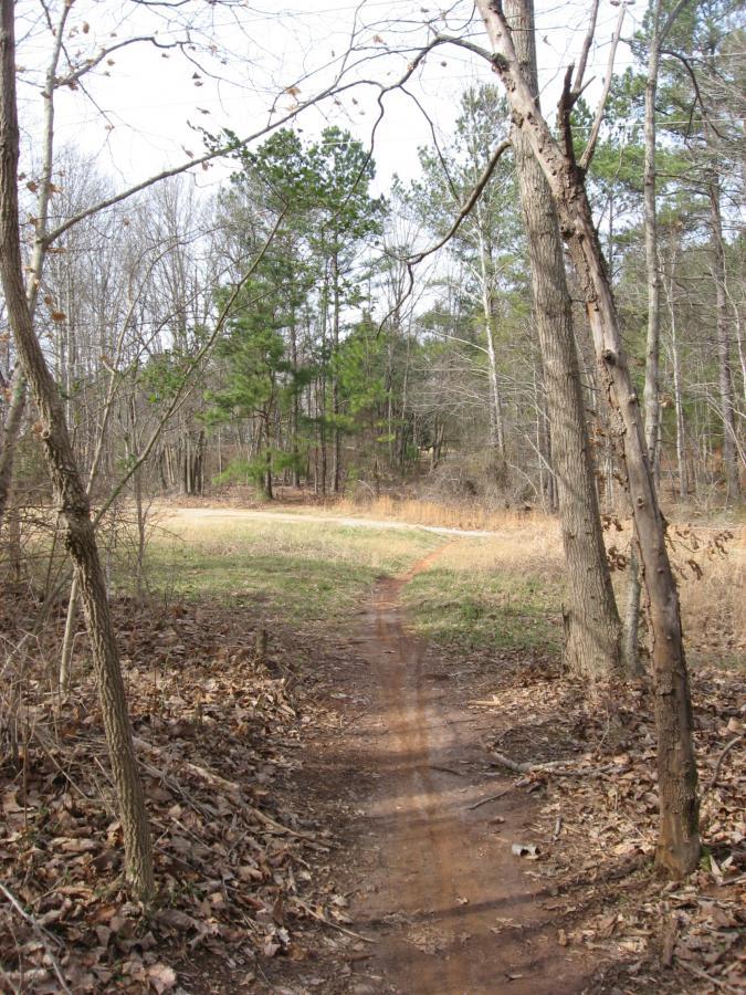 A dirt path winding through a wooded area with bare trees and patches of green grass, leading towards a curve in the trail. Sunlight filters through the branches, creating a natural and serene atmosphere. Chicopee Woods mountain bike trail.