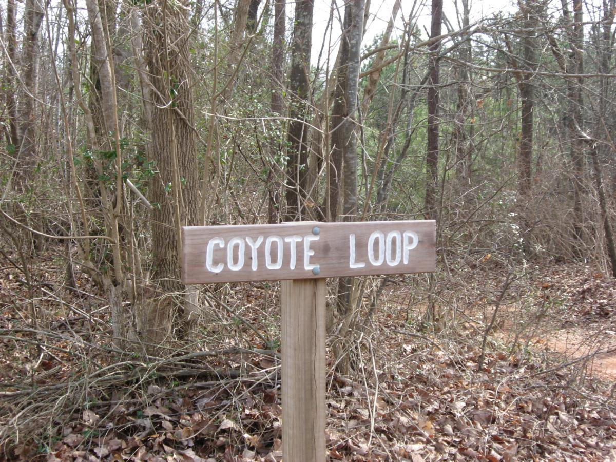 Wooden signpost for "Coyote Loop" trail surrounded by trees and underbrush. Chicopee Woods mountain bike trail.
