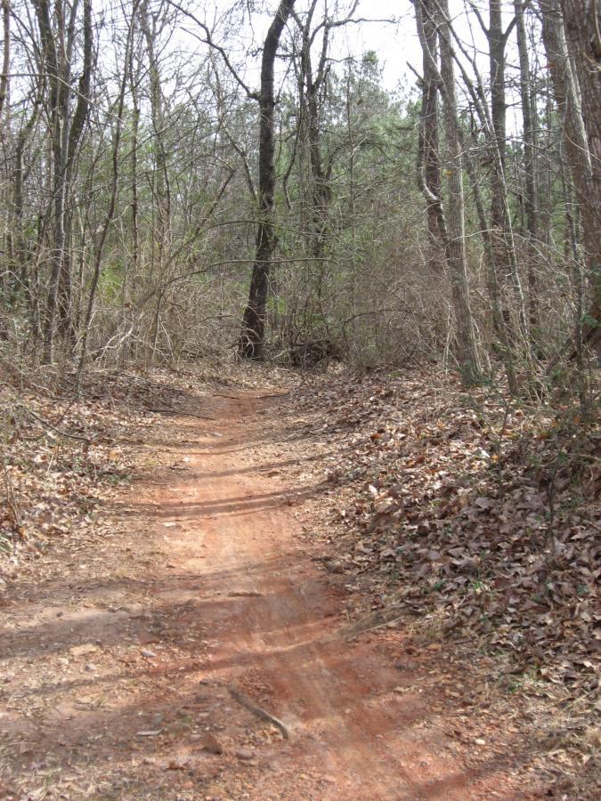 A narrow dirt path winding through a wooded area, surrounded by bare trees and scattered fallen leaves. The atmosphere is quiet and natural, with hints of greenery in the background, suggesting an autumn or early spring setting. Chicopee Woods mountain bike trail.