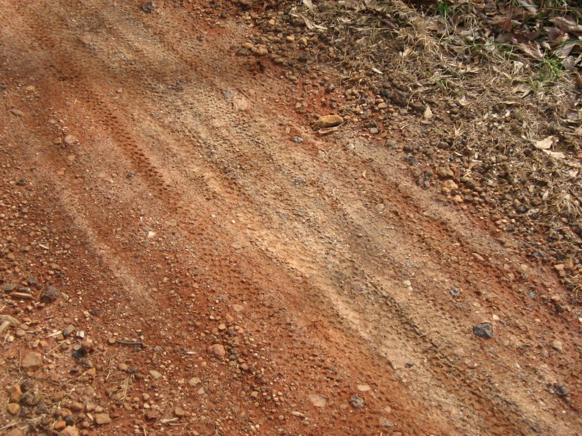A close-up view of a dirt road showing tire tracks and loose gravel. The surface is a mix of reddish-brown earth and small stones, with some dry grass visible on the edge. Chicopee Woods mountain bike trail.