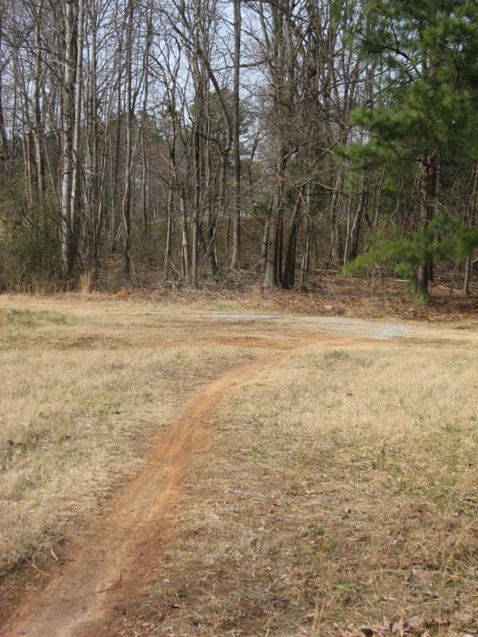 A winding dirt path leads through a grassy area towards a line of bare trees, with a few evergreens visible on the right. The scene is set against a cloudy sky, suggesting a cool, overcast day. Chicopee Woods mountain bike trail.