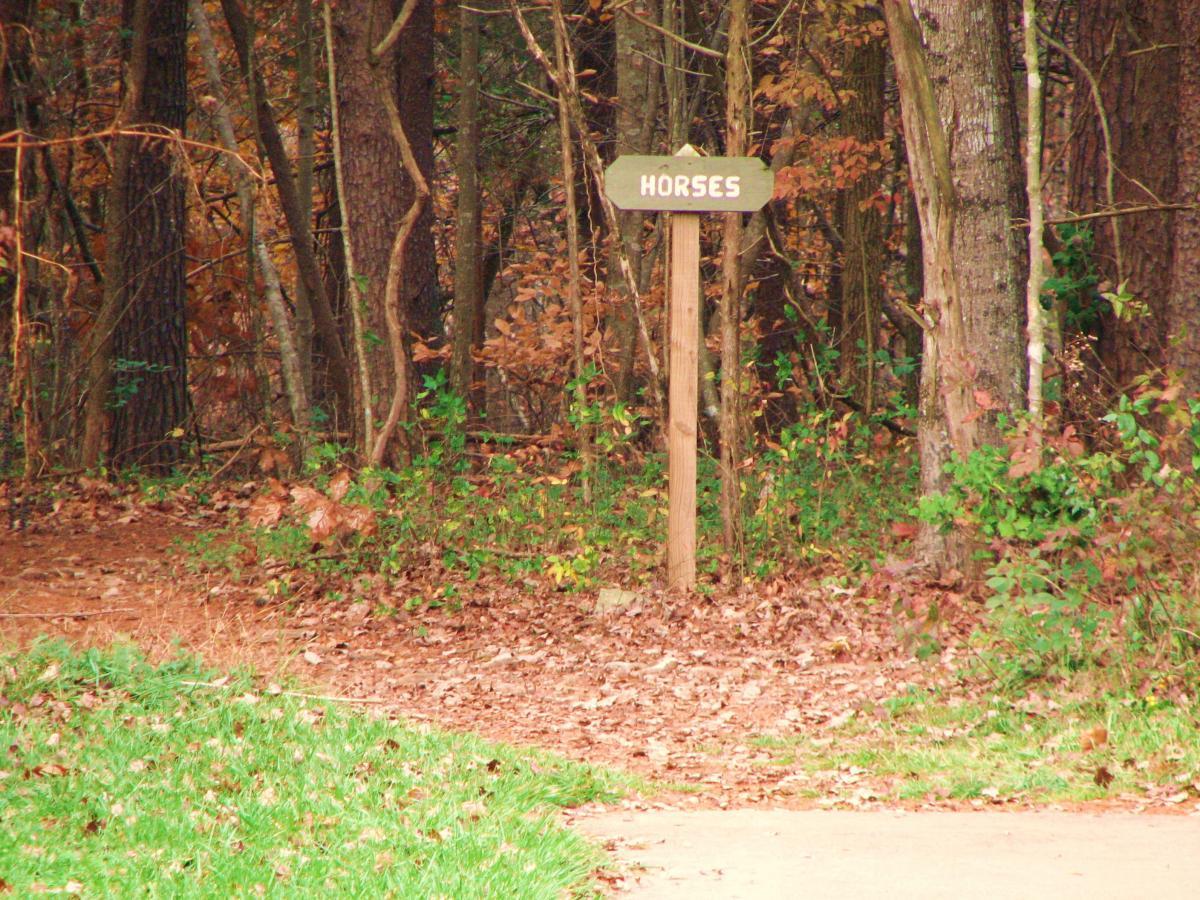 A wooden sign labeled "Horses" points towards a wooded trail, surrounded by trees and fallen leaves, indicating the direction of horse-related activities. The grassy area in the foreground contrasts with the dirt path leading into the woods. Northeast Park mountain bike trail.