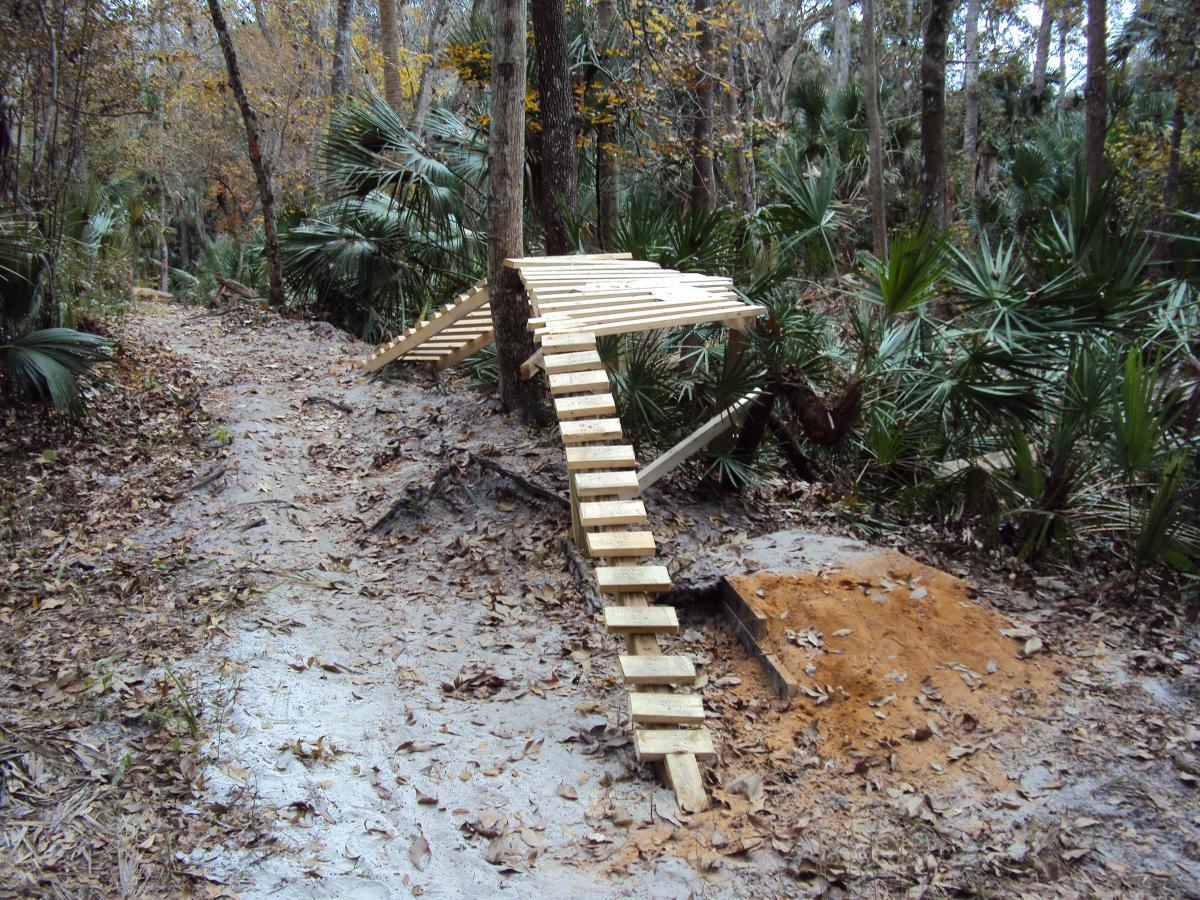 A wooden bridge structure spans a trail in a forested area, surrounded by palm plants and fallen leaves. The bridge is constructed with wooden slats and leads to a small dirt ramp on the right, showcasing a rustic outdoor setting. The trail is uneven and partially sandy, indicating a natural, unpaved path. Soldier Creek Park mountain bike trail.