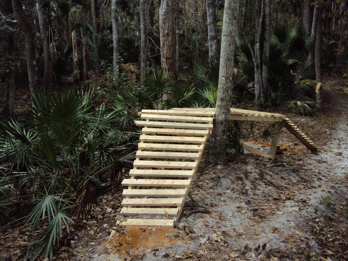 A wooden walkway with a ramp structure, situated in a dense forest area featuring tall trees and lush undergrowth. The path is surrounded by palm plants and fallen leaves, leading to a sandy trail on the right. Soldier Creek Park mountain bike trail.