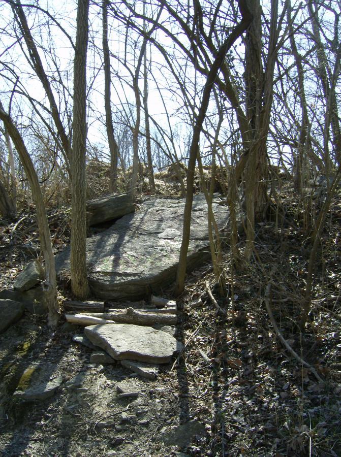 A rocky path leading through a dense area of trees and shrubs, with sunlight filtering through bare branches. The ground is uneven, featuring large stone slabs and logs arranged as stepping stones. Tower Park mountain bike trail.