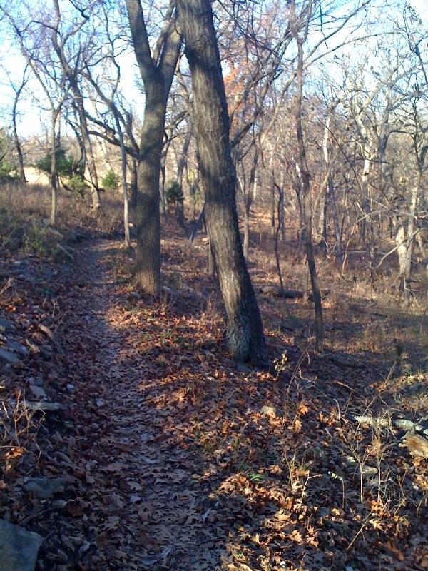 A narrow dirt trail winds through a sparse forest with bare trees and fallen leaves scattered on the ground. Sunlight filters through the branches, creating a serene, natural atmosphere. Shawnee Mission Park mountain bike trail.