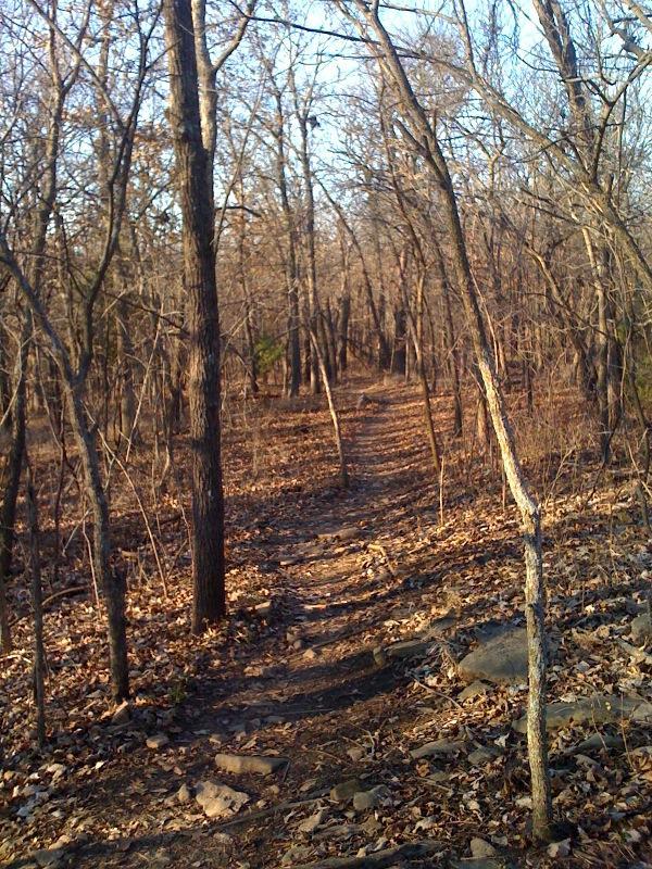 A dirt path winding through a wooded area with bare trees and scattered fallen leaves, creating a serene, natural atmosphere. The sunlight filters through the branches, illuminating the trail ahead. Shawnee Mission Park mountain bike trail.