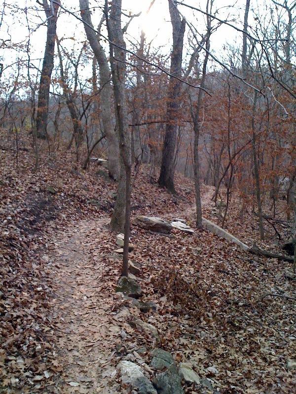 A winding dirt path meanders through a wooded area filled with leafless trees and fallen leaves, indicating the late autumn season. The scene is characterized by a mix of bare branches and some remaining reddish-brown foliage, creating a tranquil and natural environment. In the background, a slight incline suggests hilly terrain, with scattered rocks along the path. The sky appears overcast, adding to the serene, muted atmosphere of the forest trail. Swope Park Trail mountain bike trail.