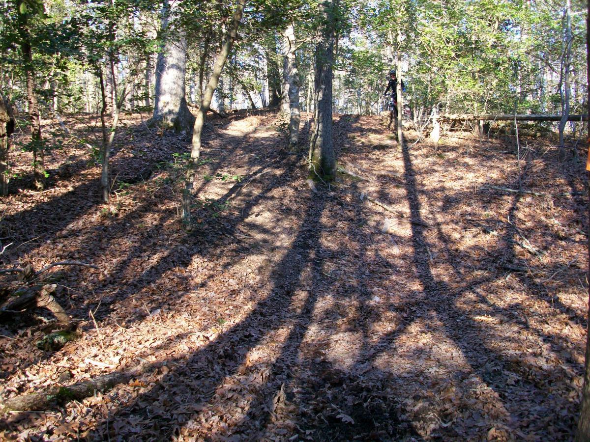 A tranquil forest scene featuring tall trees with sunlight filtering through their leaves, casting long shadows on the ground covered with fallen leaves. The path meanders gently through the trees, inviting exploration in a peaceful natural setting. Governor's Creek mountain bike trail.