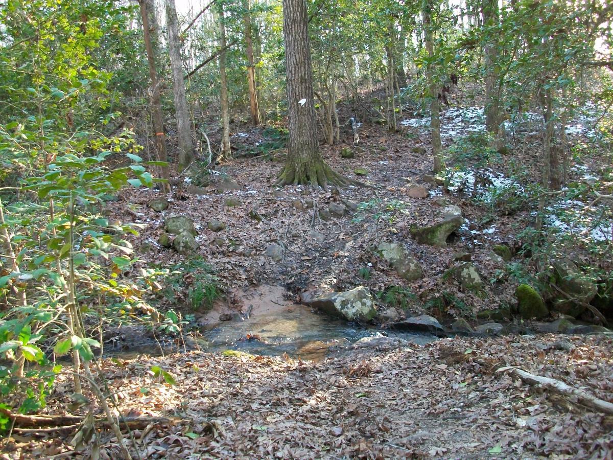 A peaceful woodland scene featuring a small creek flowing through a forested area. The ground is covered with fallen leaves, and there are large rocks scattered throughout. Trees with green foliage rise from the background, indicating a natural, serene environment. Governor's Creek mountain bike trail.