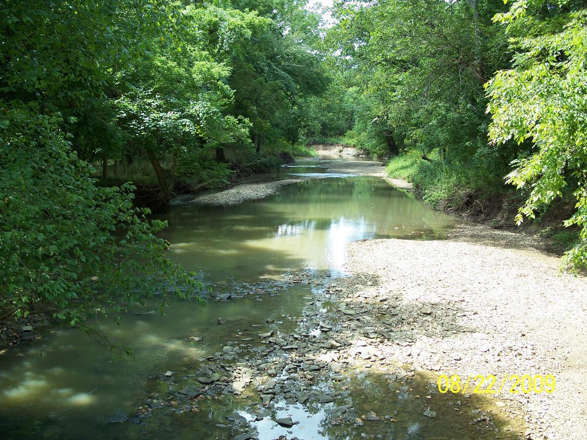 A serene view of a narrow, winding creek surrounded by lush green trees. The water appears calm and shallow, with rocky edges visible along the banks. Soft sunlight filters through the foliage, creating a tranquil atmosphere. The date 08/22/2009 is visible in the corner of the image. Rock Bridge Memorial State Park mountain bike trail.