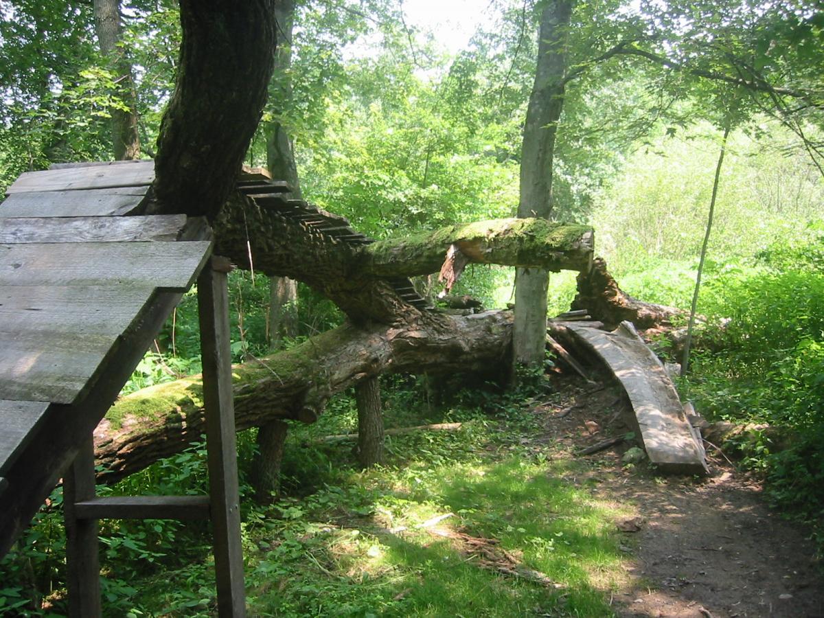 A wooden structure built from logs and planks, surrounded by lush greenery in a forested area. The design includes ramps and platforms, creating an inviting space for exploration and play among the trees. Sunlight filters through the leaves, highlighting the natural setting. Vultures Knob mountain bike trail.