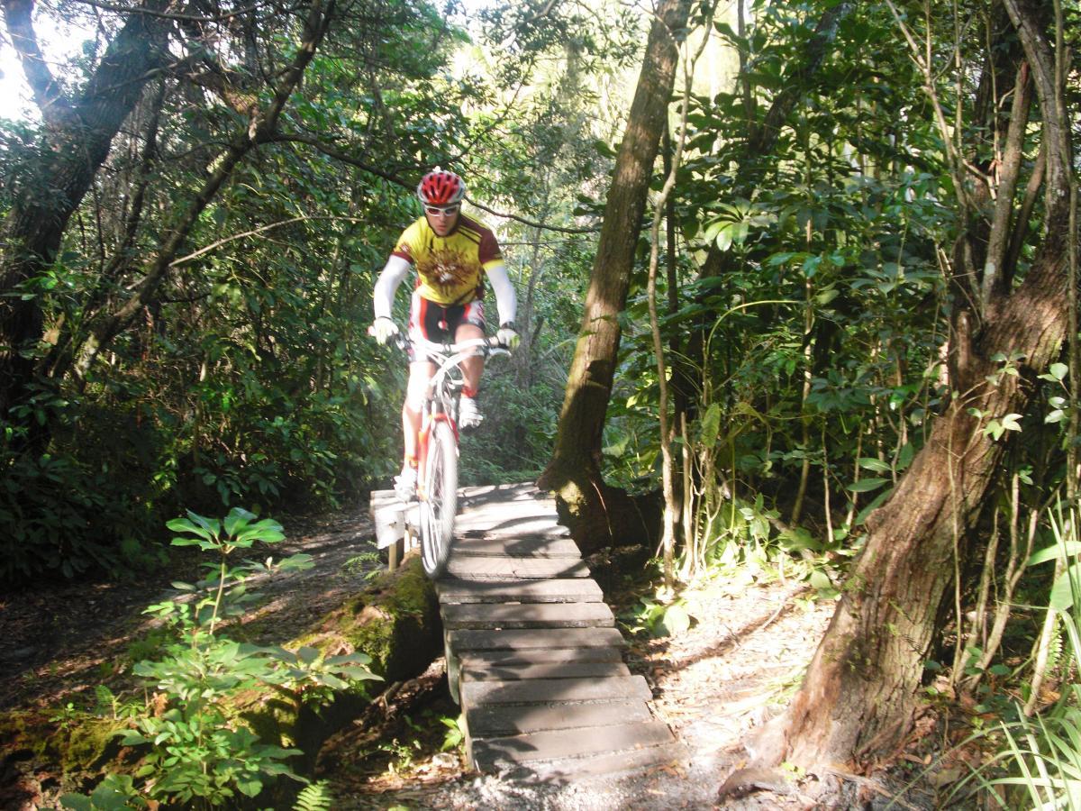 A mountain biker navigating a wooden bridge through a lush, green forest surrounded by tall trees and dense vegetation. The cyclist, wearing a red helmet and a yellow cycling jersey with red accents, is captured mid-ride, focusing on the trail ahead. Sunlight filters through the trees, illuminating the scene. Amelia Earhart Park mountain bike trail.