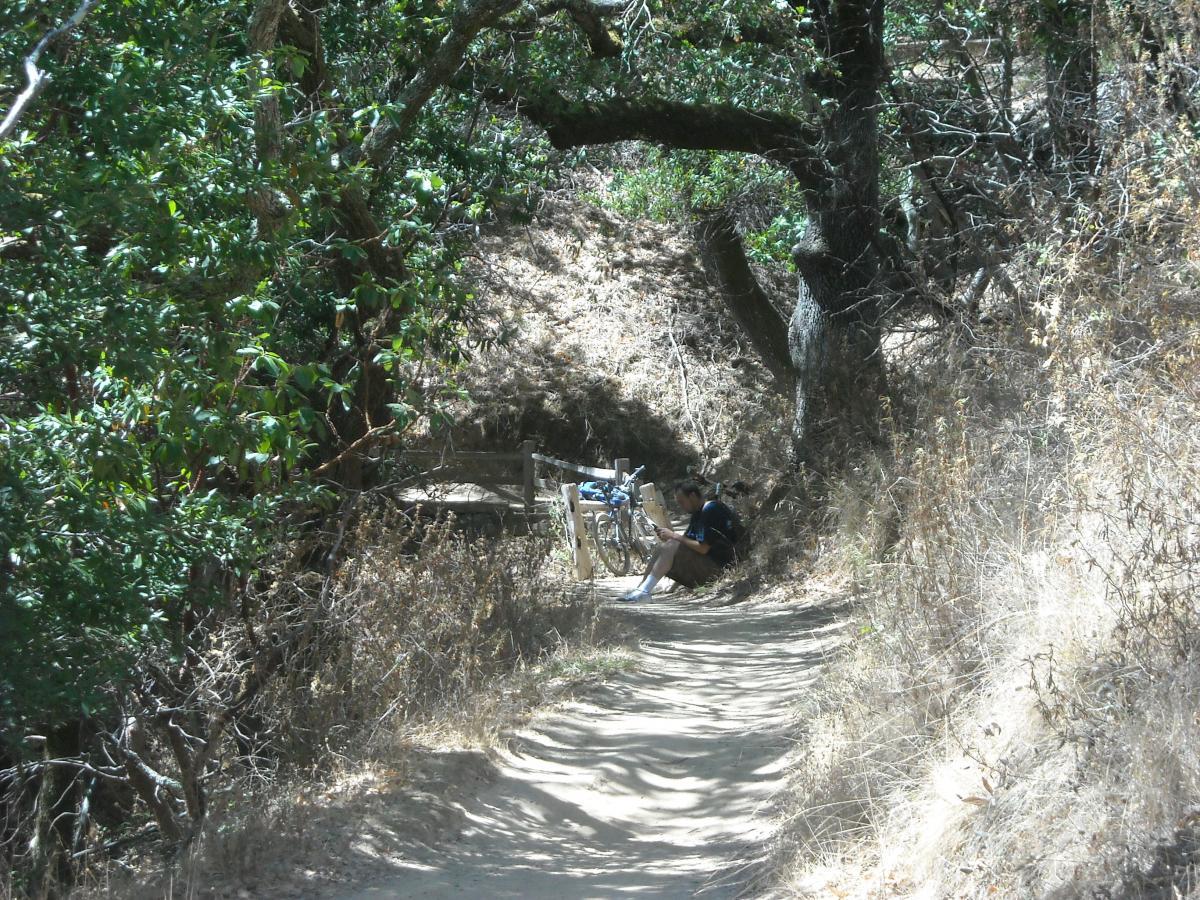 A person sitting on the ground near a bike on a dirt trail surrounded by trees and dry vegetation on a sunny day. China Camp mountain bike trail.