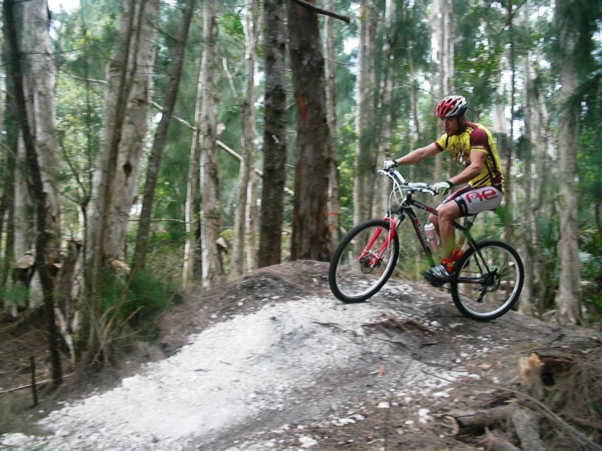 A mountain biker in a colorful jersey and shorts jumps off a dirt ramp in a wooded area, surrounded by tall trees. Amelia Earhart Park mountain bike trail.