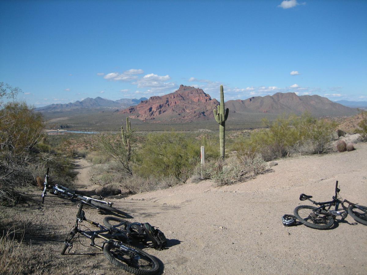 A scenic view of a desert landscape featuring vibrant red rock formations and distant mountains under a clear blue sky. In the foreground, two mountain bikes lie on a sandy trail, surrounded by cacti and desert vegetation. Hawes Loop mountain bike trail.