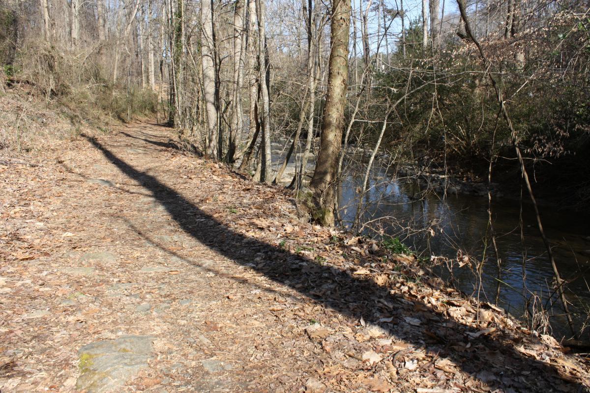 A tranquil path lined with trees and fallen leaves, alongside a gently flowing stream. The sun casts long shadows, creating a serene atmosphere in a natural setting. Peavine Creek mountain bike trail.
