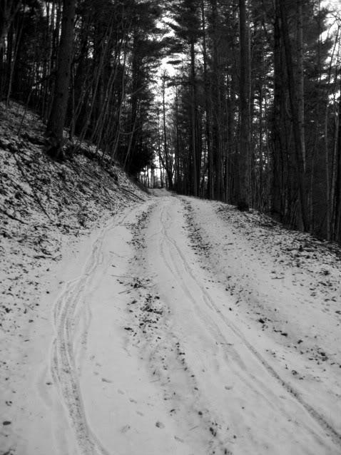 A snowy path winding through a dense forest, with tire marks and footprints visible on the white ground. The scene is presented in black and white, highlighting the tall trees lining the sides of the trail and creating a serene, wintry atmosphere. Montgomery Creek Trail mountain bike trail.