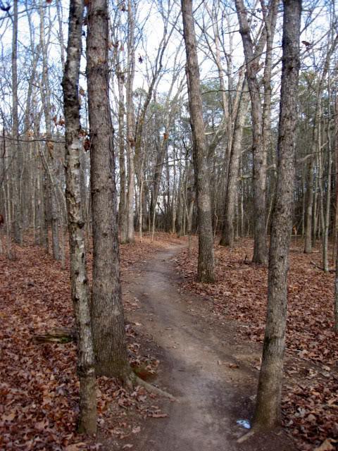 A winding dirt path through a forest with bare trees and autumn leaves on the ground, under a cloudy sky. Gainesville College mountain bike trail.