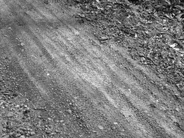 A close-up black and white image of a dirt path showing tire tracks, with scattered pebbles and uneven terrain. The edges of the path are lined with grass and foliage. Chicopee Woods mountain bike trail.