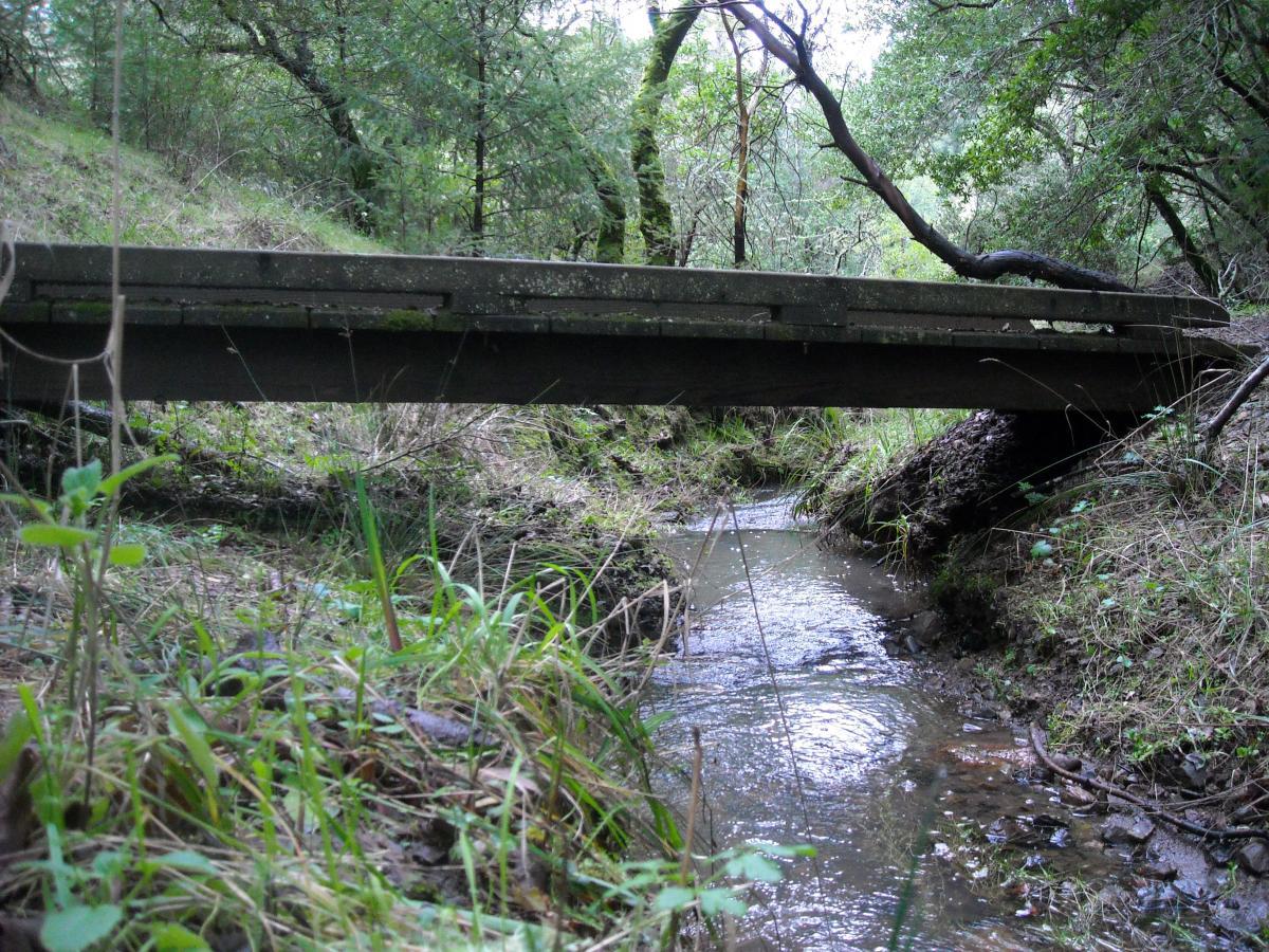 A wooden bridge spans a small, gently flowing creek surrounded by lush green vegetation. The scene features various grasses and plants along the creek banks, and trees on either side of the bridge, creating a serene woodland atmosphere. Camp Tamarancho mountain bike trail.