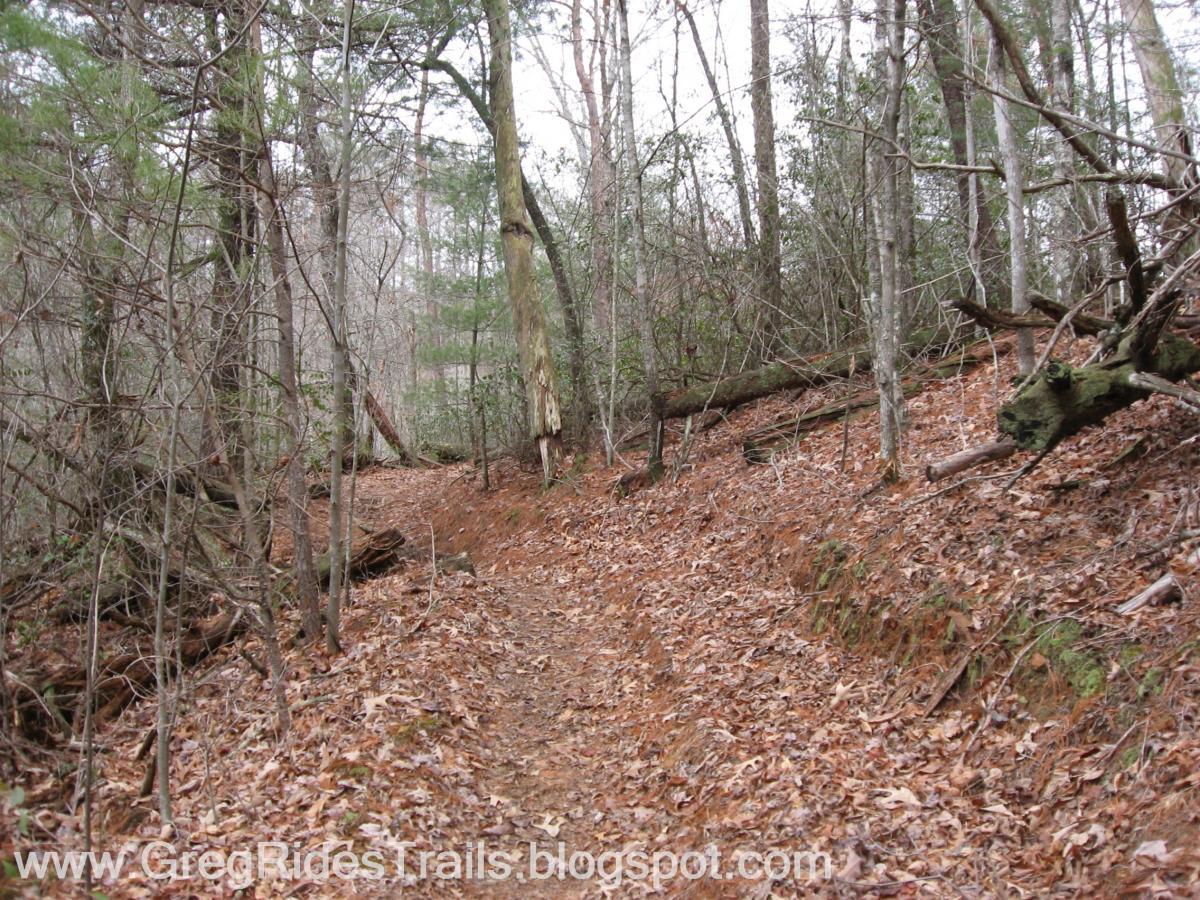 A narrow dirt trail winding through a forest with bare trees and fallen leaves on the ground, surrounded by greenery and logs. The atmosphere appears serene and quiet, suggesting a peaceful walking path in nature. Jake to Bull Mountain Connecter mountain bike trail.