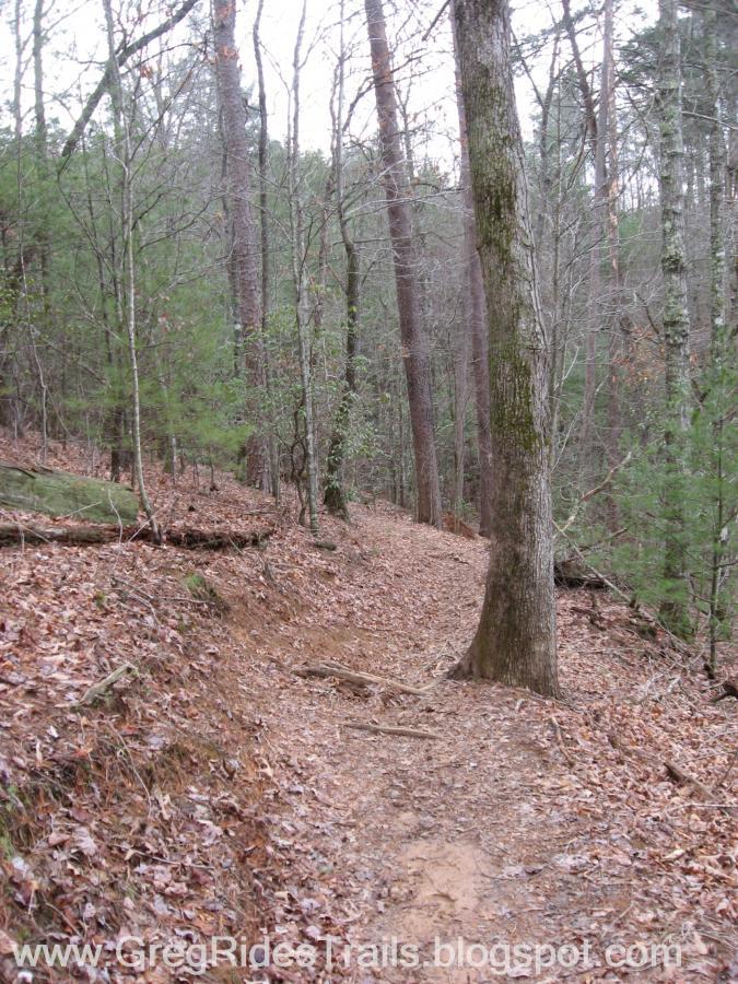 A winding dirt path through a forested area, lined with tall trees and scattered fallen leaves. The path is slightly elevated and curves to the right, surrounded by greenery and underbrush typical of a wooded landscape. The scene appears tranquil and invites exploration. Jake to Bull Mountain Connecter mountain bike trail.