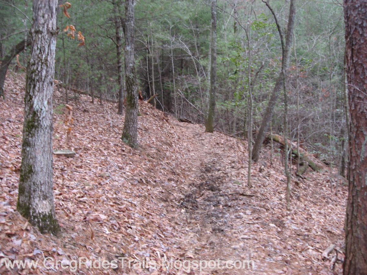 A narrow trail winding through a forest, surrounded by tall trees and covered in fallen leaves. The scene is serene and natural, with hints of greenery peeking through the branches. Jake to Bull Mountain Connecter mountain bike trail.