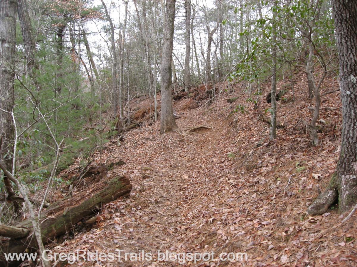 A narrow dirt trail winding through a wooded area, covered with fallen leaves. The surrounding trees are bare and show signs of early spring, with patches of green foliage visible. The path is lined with fallen logs and the terrain appears slightly uneven. Jake to Bull Mountain Connecter mountain bike trail.