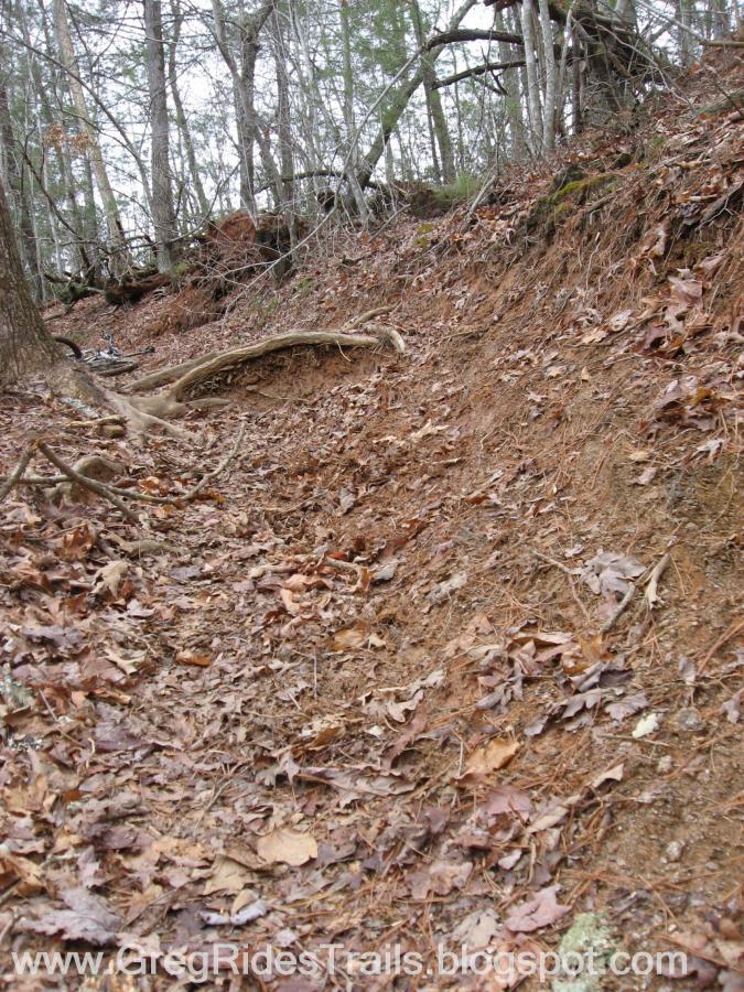 A forested area with a dirt pathway covered in fallen leaves. The slope on the right side of the image shows exposed soil, with tree roots and branches visible. Bare trees in the background indicate it may be autumn or winter. Jake to Bull Mountain Connecter mountain bike trail.