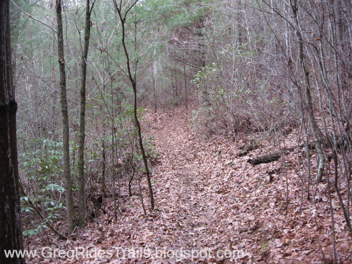 A narrow dirt trail winding through a wooded area, lined with trees and covered in fallen leaves. The scenery appears to be in a forest setting, with greenery sparse and a muted, earthy color palette indicating a natural environment. Jake to Bull Mountain Connecter mountain bike trail.