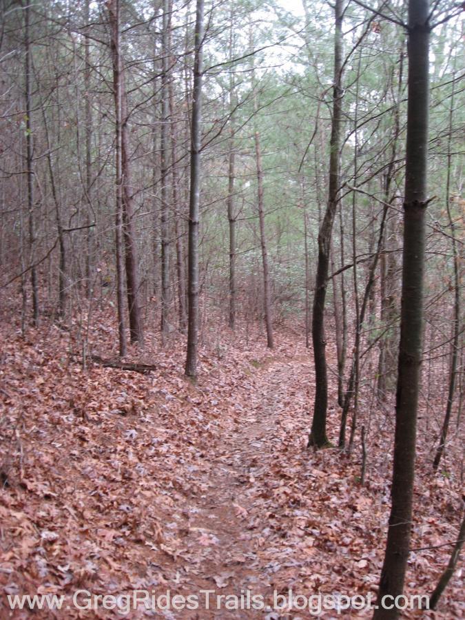 A winding dirt trail surrounded by tall trees and scattered leaves, leading through a dense forest. The atmosphere suggests a calm and tranquil outdoor setting, likely during overcast weather. Jake to Bull Mountain Connecter mountain bike trail.