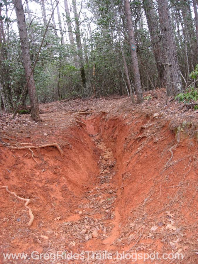 A narrow, deep trench cut into the red soil, surrounded by trees and underbrush in a wooded area. The trench shows exposed roots along its edges, with scattered leaves on the ground. Bull / Jake Mountain mountain bike trail.