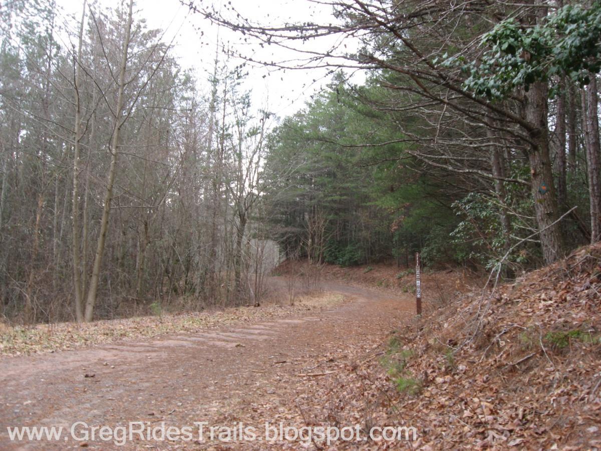 A winding dirt path in a wooded area, lined with trees both bare and evergreen, with fallen leaves scattered along the ground. The trail curves off to the right, and a trail marker is visible on the right side of the image. The scene is set in a tranquil, natural environment, suggesting a hiking or biking trail. Bull / Jake Mountain mountain bike trail.