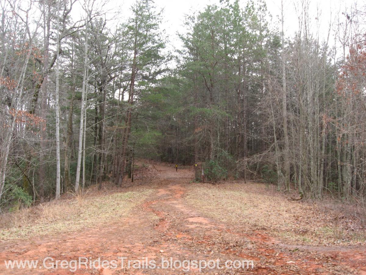 A dirt path leading into a wooded area, surrounded by trees with some bare branches and a mix of green foliage. The scene is tranquil, with a soft, overcast sky, suggesting an early spring or fall atmosphere. A signpost is visible at the trail intersection, indicating the direction of the path. Bull / Jake Mountain mountain bike trail.