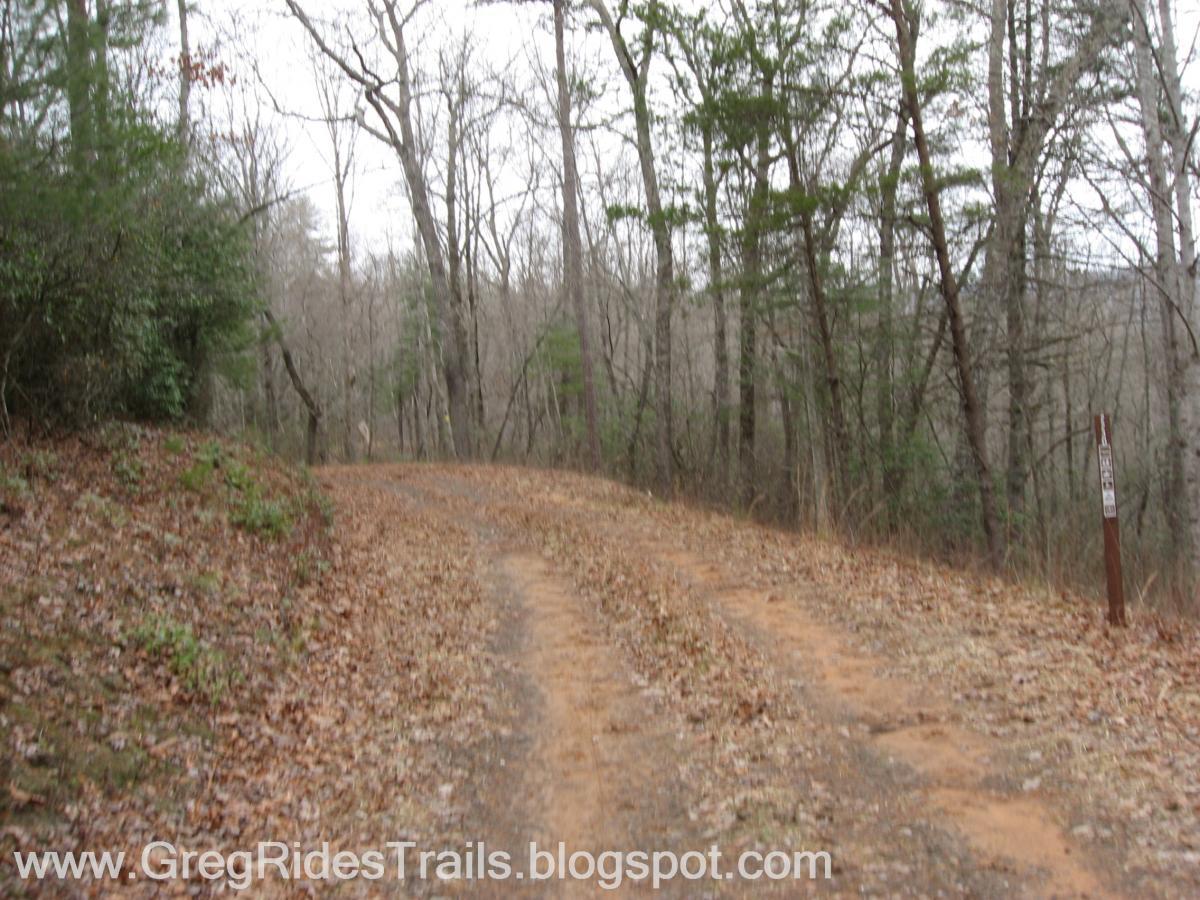 A winding dirt path through a forested area, lined with trees that are bare of leaves, indicating a late autumn or early winter setting. The trail is surrounded by fallen leaves, and a signpost can be seen on the right side of the image. Bull / Jake Mountain mountain bike trail.