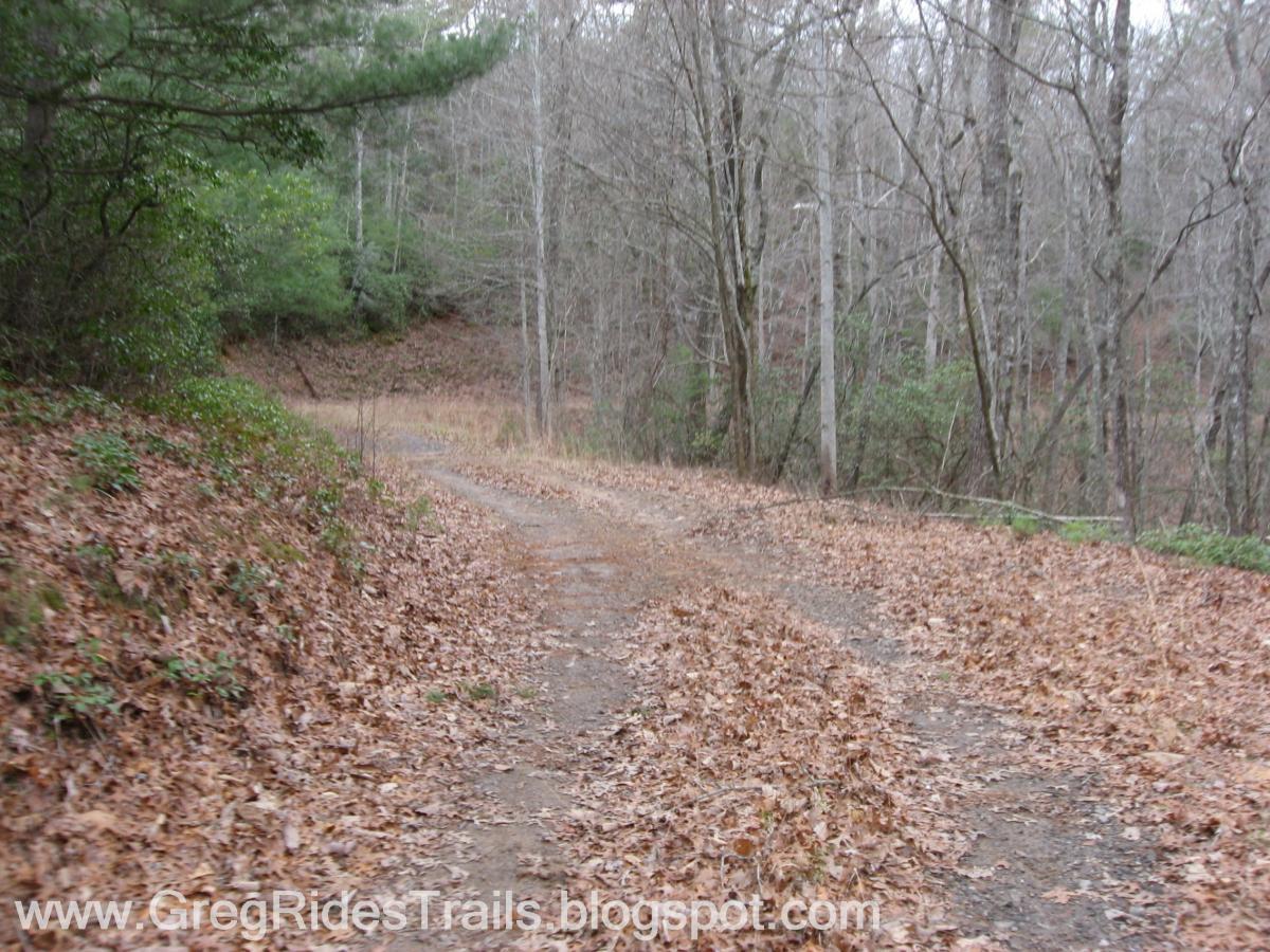 A winding dirt path covered with fallen leaves, flanked by bare trees and green shrubs, leading into a forested area on a cloudy day. Bull / Jake Mountain mountain bike trail.