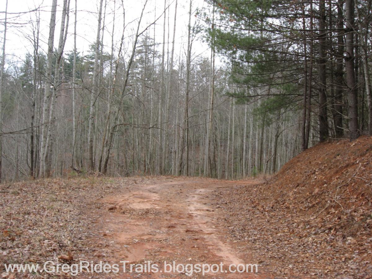 A dirt path winding through a dense forest with bare trees and a few evergreen trees in the background, under a cloudy sky. The ground is covered in reddish soil and scattered leaves. Bull / Jake Mountain mountain bike trail.