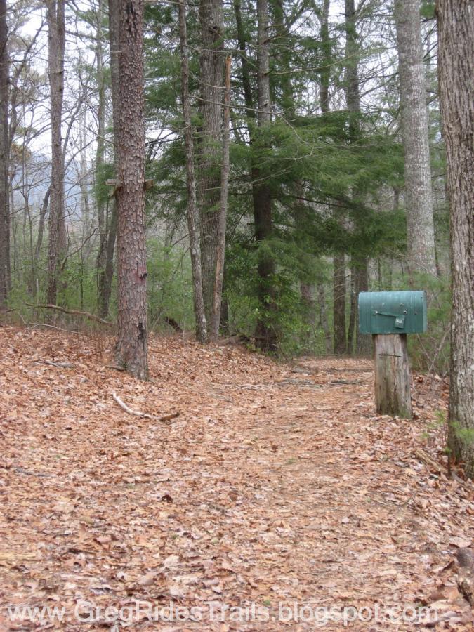 A dirt path lined with fallen leaves leads to a green mailbox on a wooden post, surrounded by tall trees in a wooded area. Bull / Jake Mountain mountain bike trail.